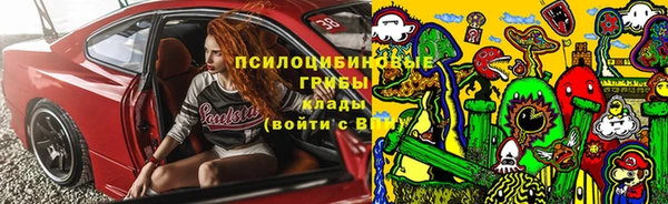 спиды Заволжск