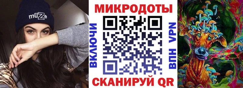 Купить где  Вичуга  Галлюциногенные грибы Psilocybe 